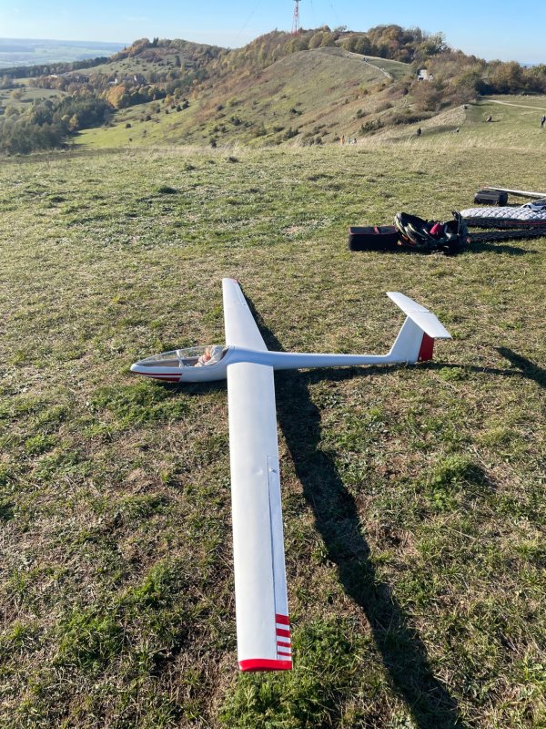 Segelflugzeug, Speed-Astir, Wik 310 cm Spannweite