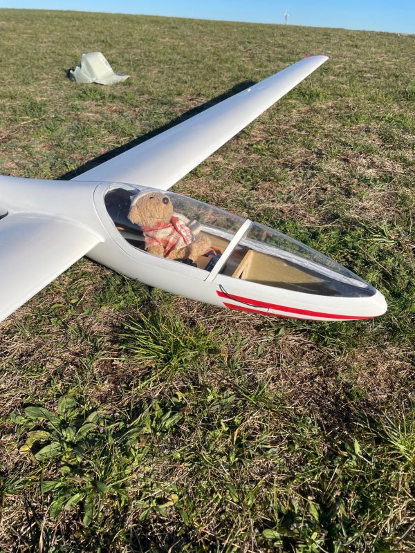 Segelflugzeug, Speed-Astir, Wik 310 cm Spannweite