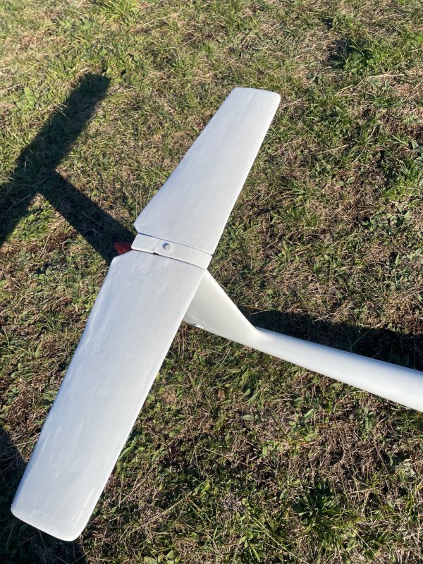 Segelflugzeug, Speed-Astir, Wik 310 cm Spannweite